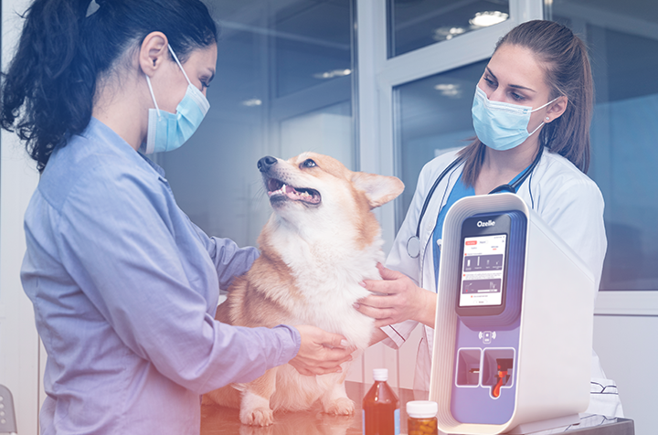 Guida all'acquisto degli analizzatori ematologici veterinari: Selezione dell'apparecchiatura giusta