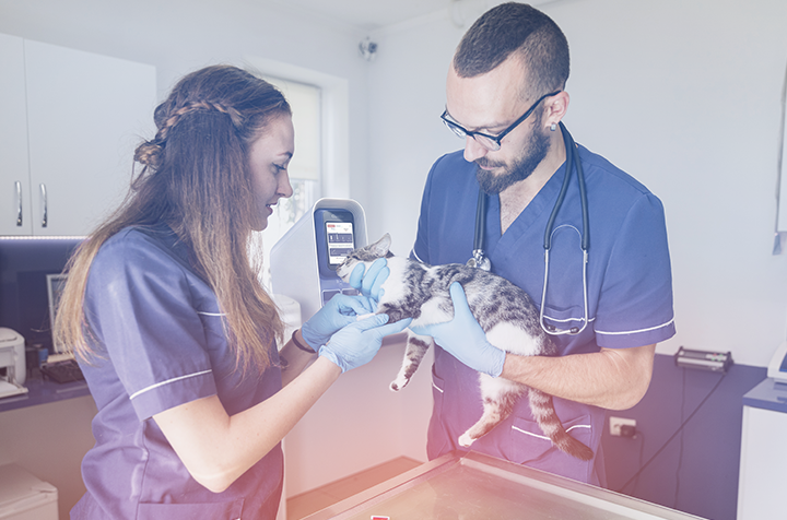 analizzatore ematologico veterinario
