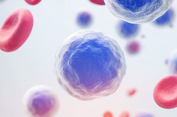 Complete Blood Count Analyzer Buyers Guide