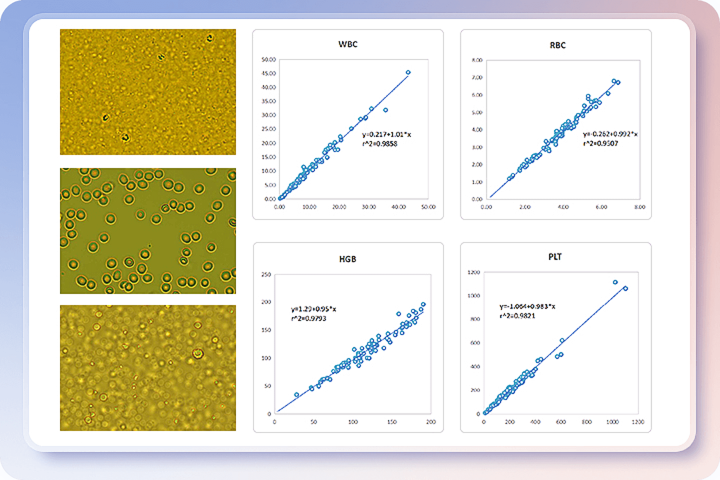 Image-Based Detection with Visualized Results
