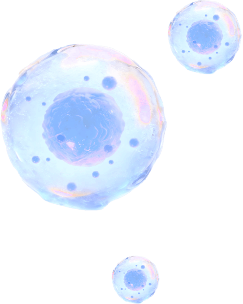 design-content-box-img