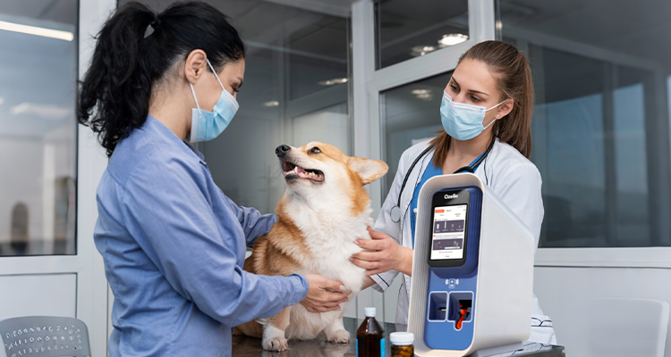 analizzatore ematologico veterinario