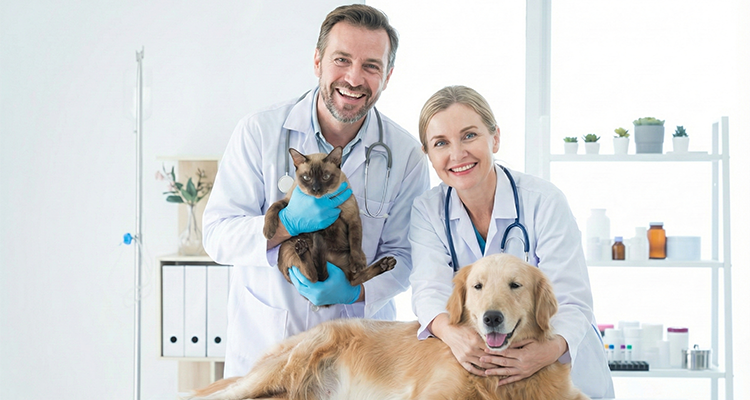 Technology Comparison: What You're Actually Paying For