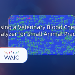 Choosing a Veterinary Blood Chemistry Analyzer for Small Animal Practice