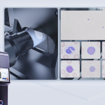 AI-Assisted Morphology Analysis in Hematology: From Cell Images to Structured Hematology Review